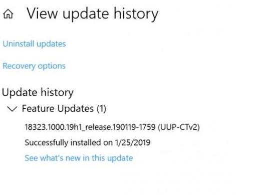 Windows 10 19H1ѽ뷢֧ 4½ڶ