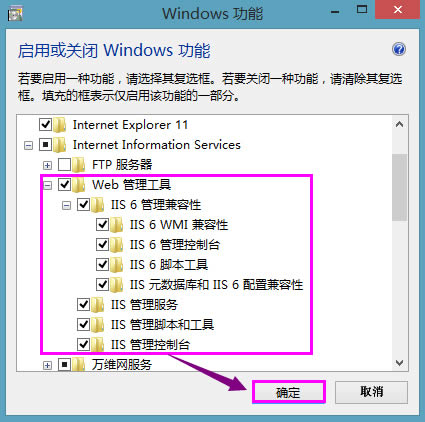 windows8ϵͳδinternetϢiis