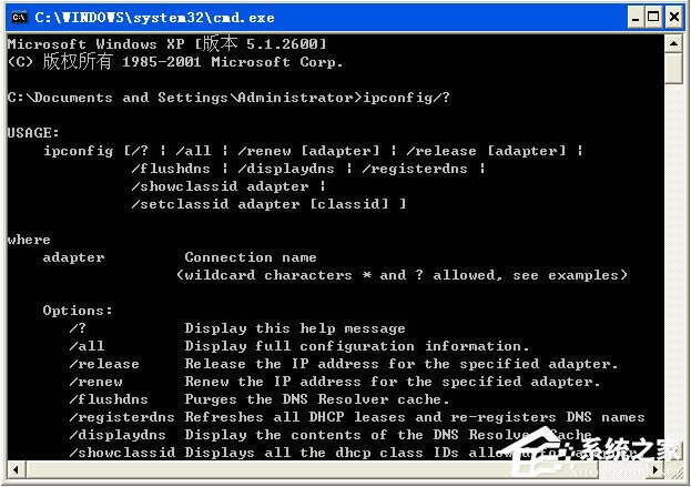 WinXPϵͳipconfigôã